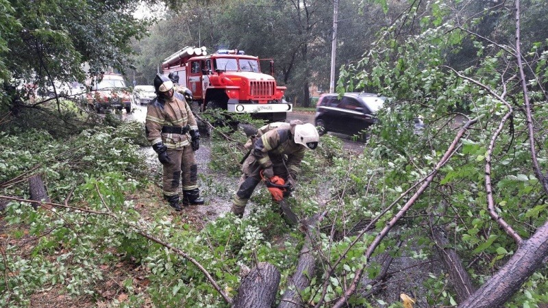 Тайфун Хиннамнор повалил более сотни деревьев  в Комсомольске-на-Амуре