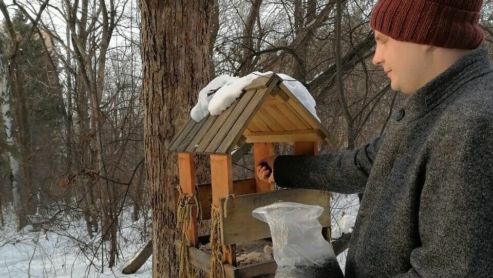 Акция «Покормите птиц зимой» проходит в Хабаровском крае