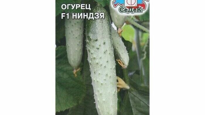 Подозрительные семена изъяли у интернет-магазина в Хабаровске