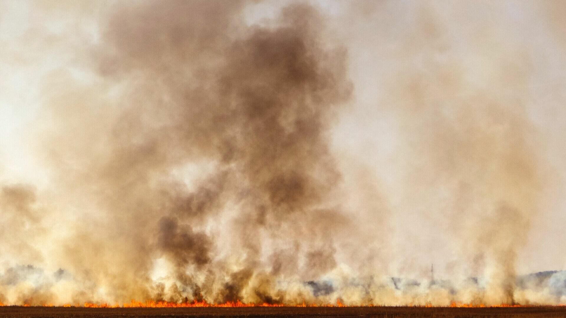 За прошедшие сутки в Хабаровском крае пожранные 30 раз тушили возгорание сухостоя