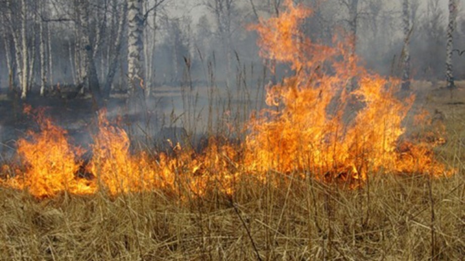 38 новых труднодоступных лесных пожаров в Хабаровском крае и Якутии