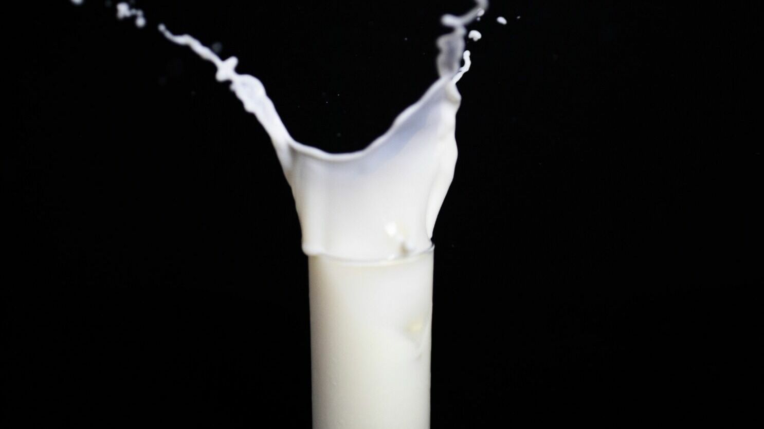 Крупную партию опасной молочной продукции изъяли из оборота в Хабаровске