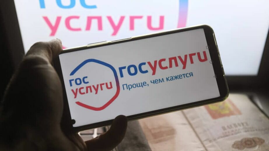 Сайт «Госуслуг» стал более популярным среди молодежи в Хабаровском крае