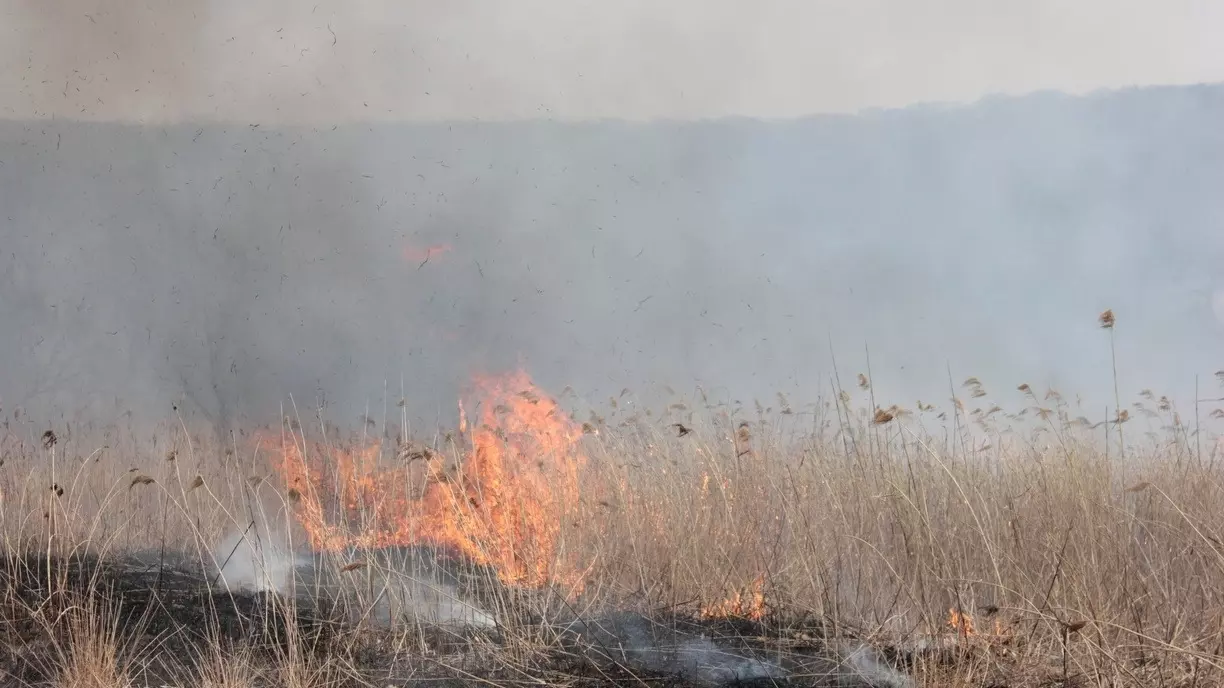 Что грозит поджигателям сухой травы в Хабаровском крае