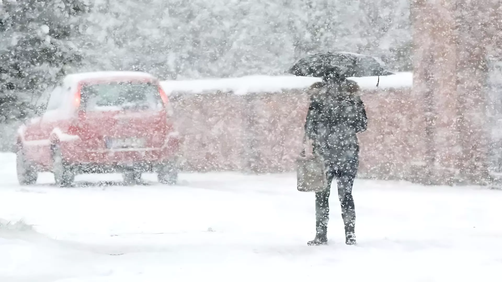В Хабаровском крае ожидаются снегопады
