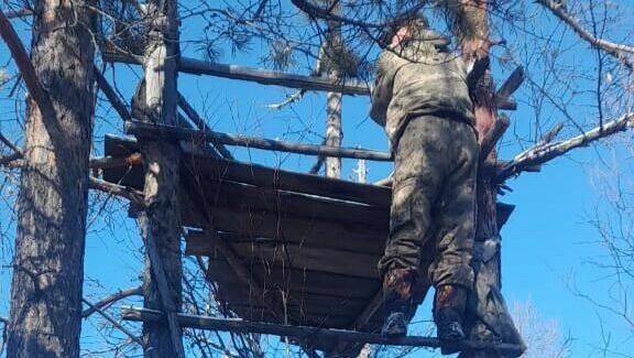 Охотничье «гнездо»  уничтожили в Хабаровском крае