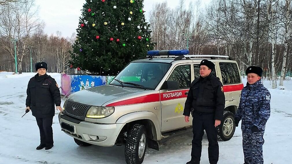 В Хабаровском крае поймали новогоднего грабителя
