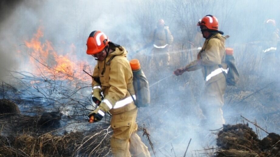 Три лесных пожара бушуют в Хабаровском крае