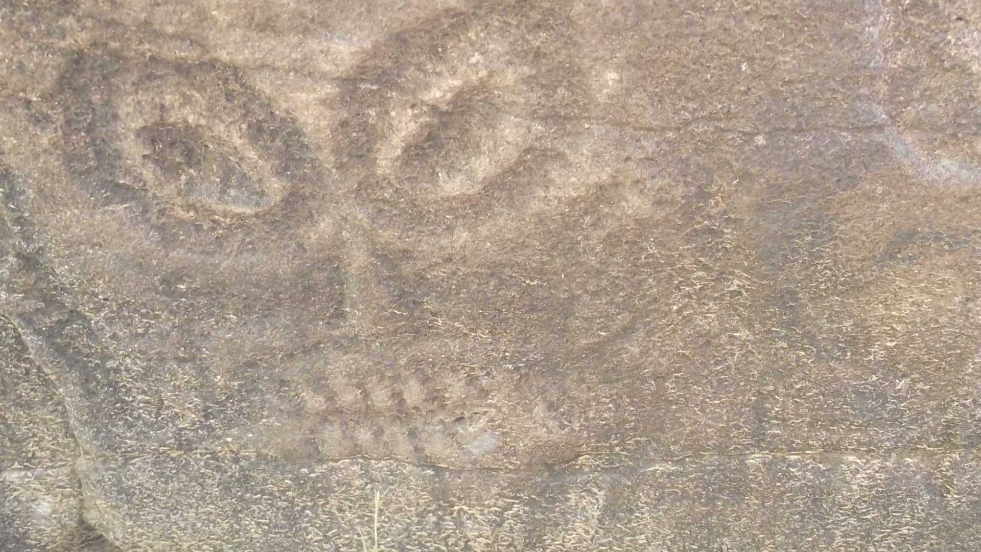 петроглиф около Сикачи-Аляна