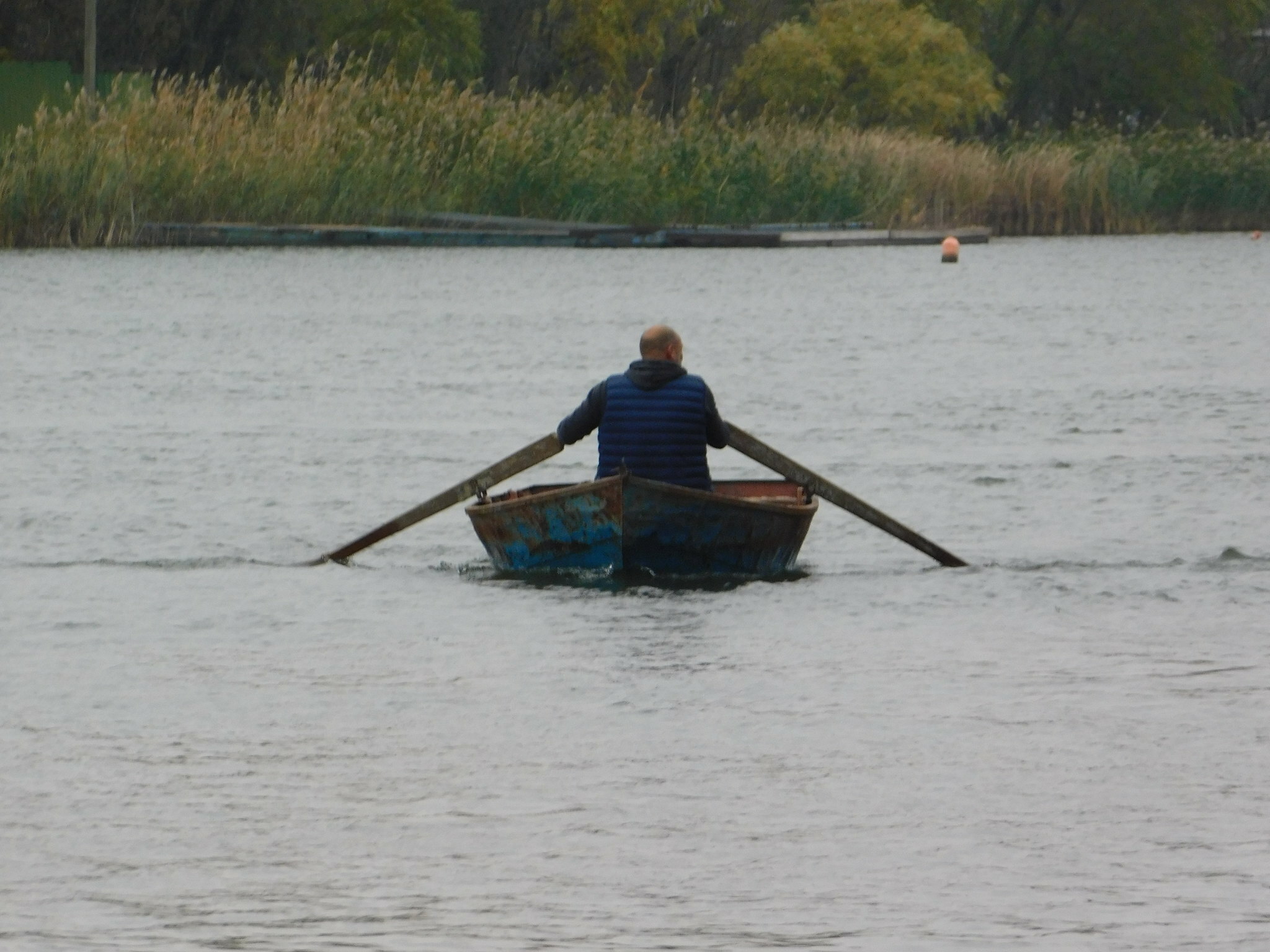 мужчина в лодке гребет веслами