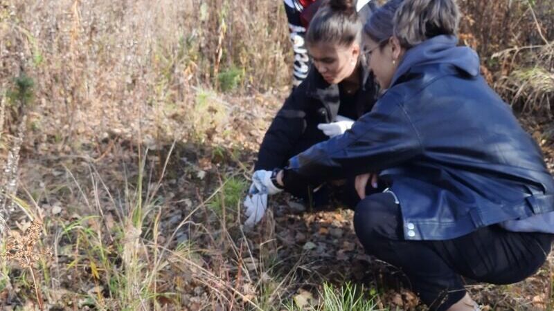 Юные лесники учатся проводить агроуход в Хабаровском крае