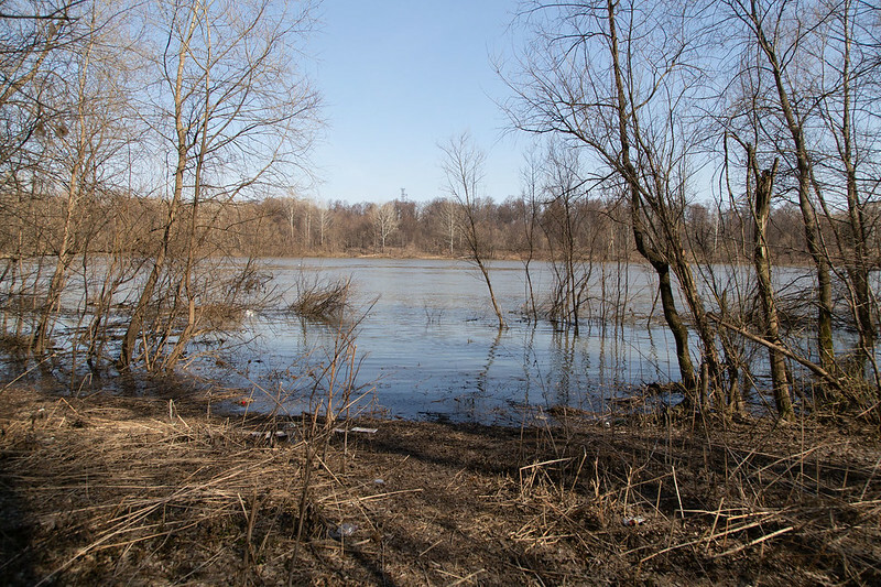 В Хабаровском крае в зоне паводка остаются более 30 населённых пунктов