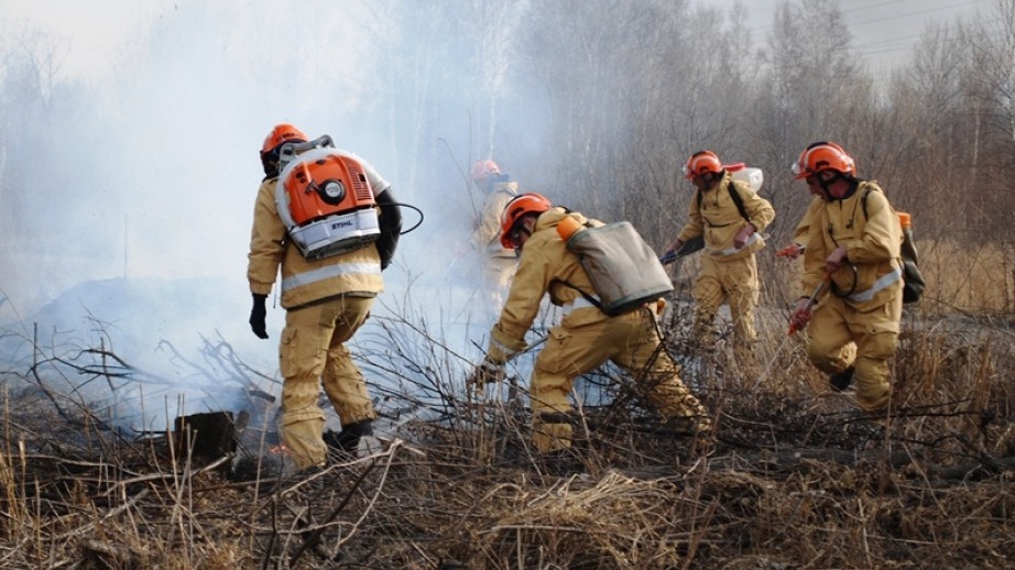 Хабаровский край расширяет группировку пожарных на тушение возгораний в лесах
