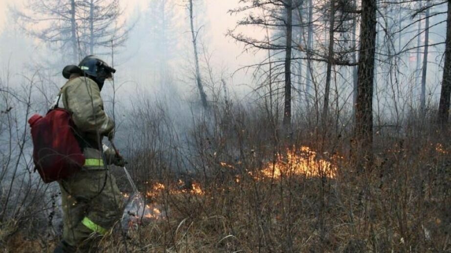 Два лесных пожара ликвидированы в Амурском и Хабаровском районах