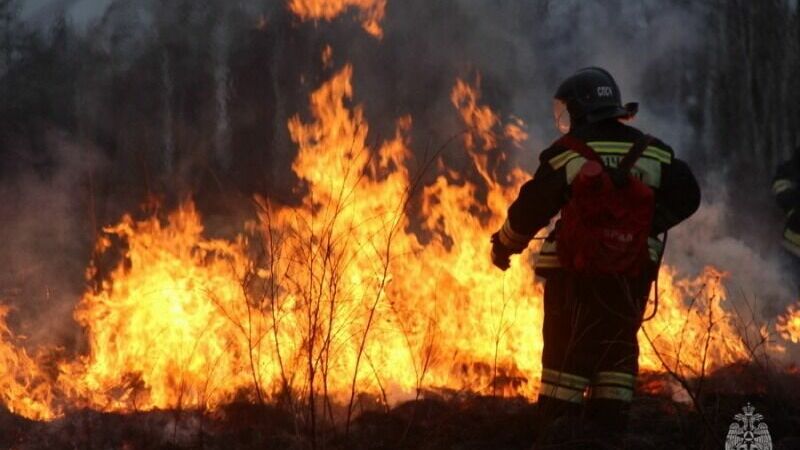 Пожарный ликвидировалои возгорание вблизи села Голубичное в Хабаровском крае