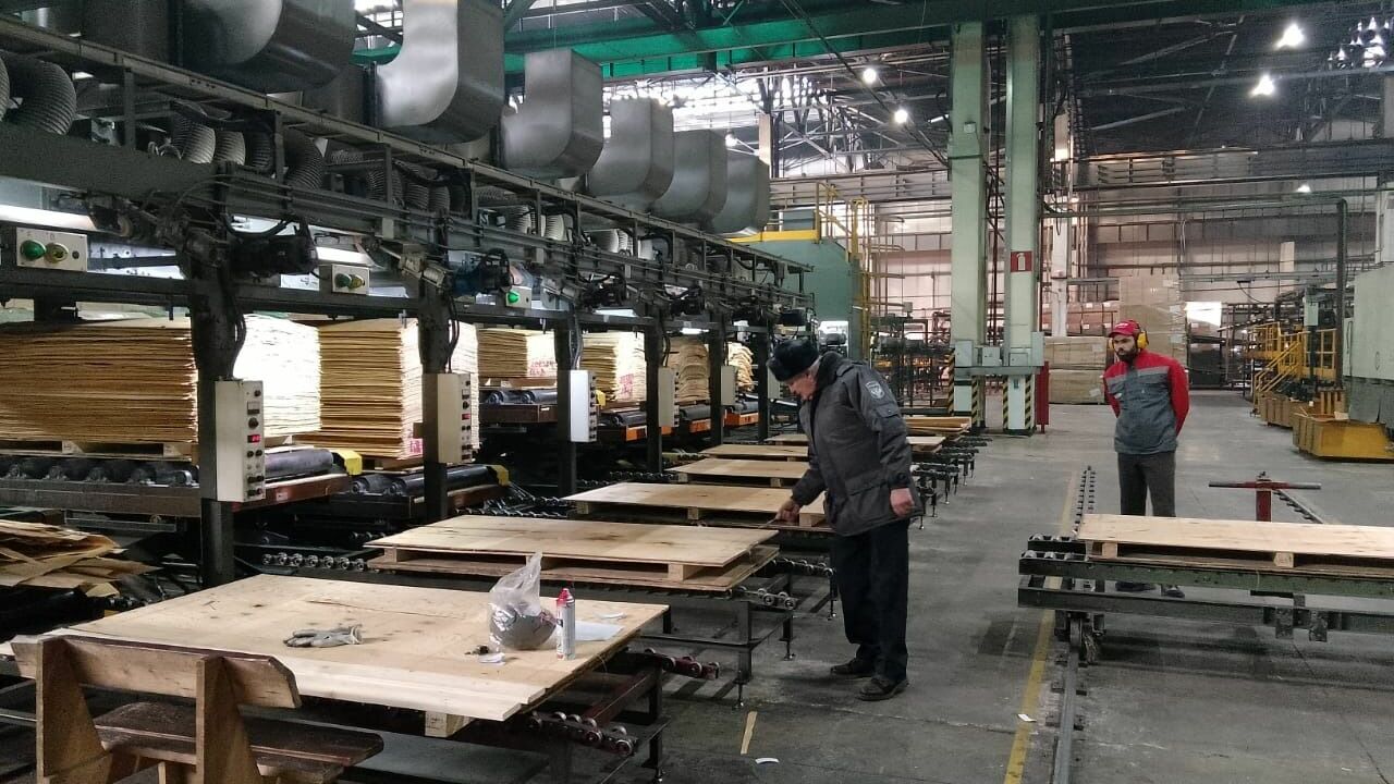 Возобновились поставки необработанной древесины из Хабаровского края в Корею и Японию