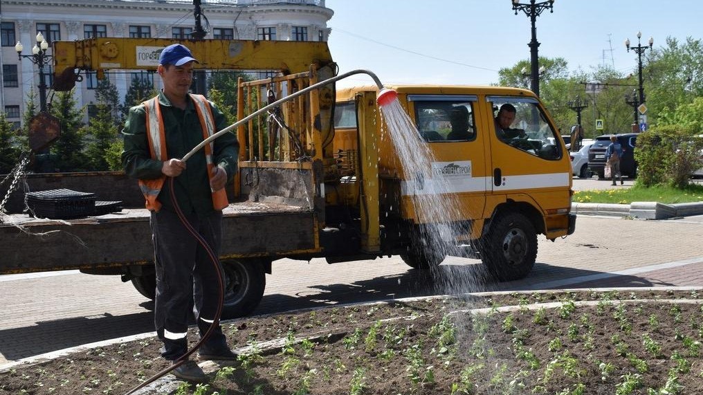 В Хабаровске проводятся работы по прополке клумб и обрезке кустарников