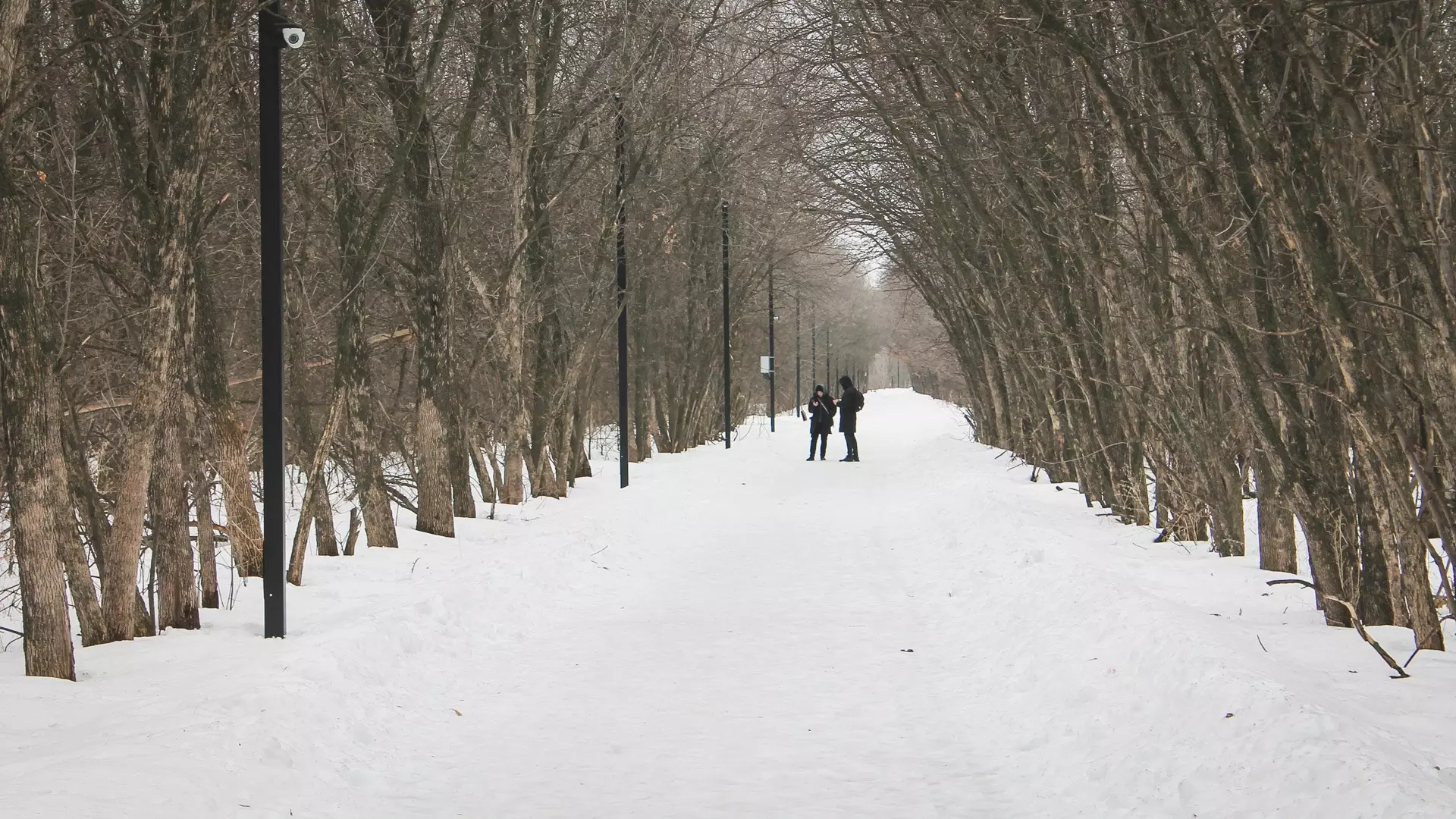 Нехватку осадков зимой пообещали Хабаровску