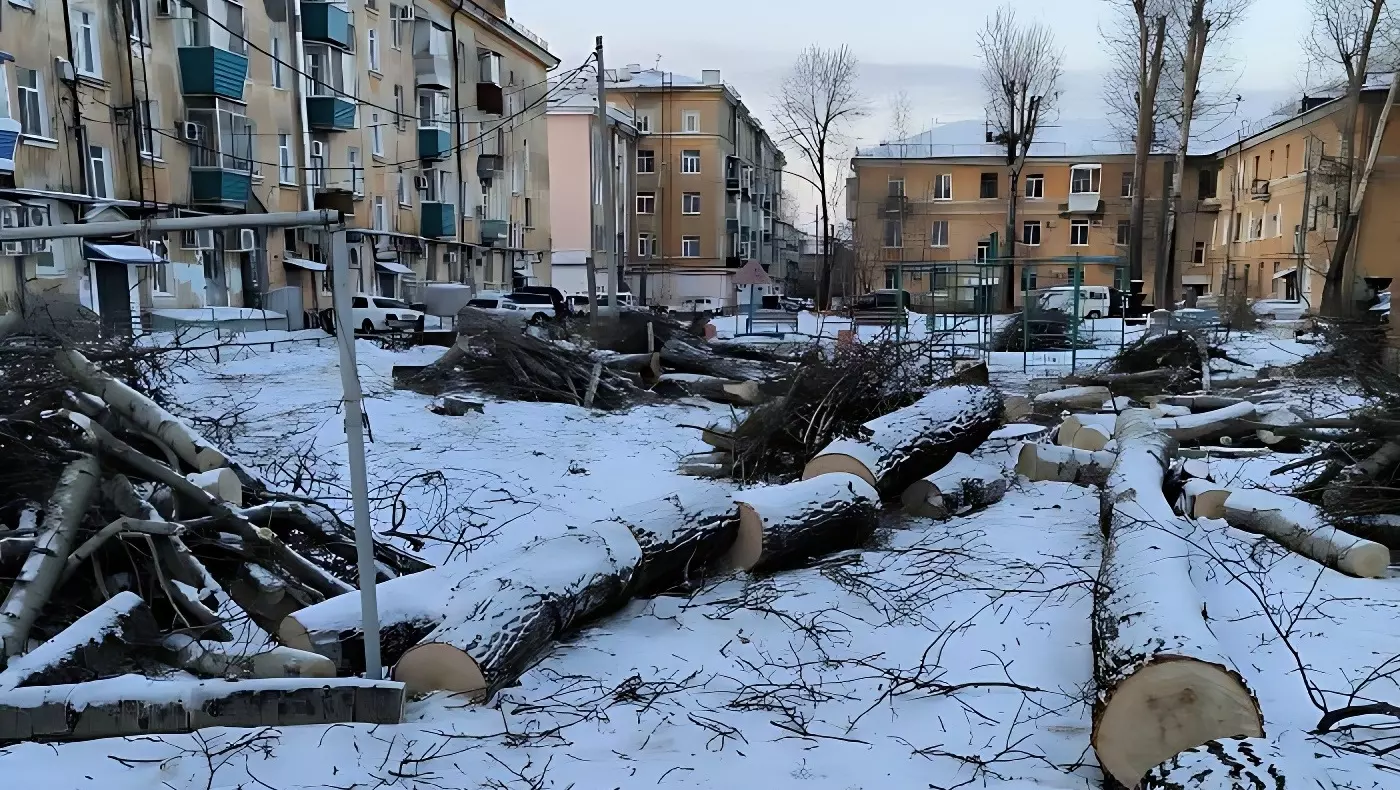 Повалили деревья и не убрали во дворе дома в Комсомольске-на-Амуре
