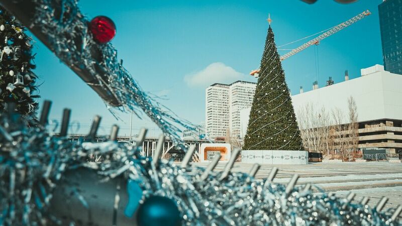 Новый год — и точка. Где купить подарки и продукты выгодно в Хабаровске