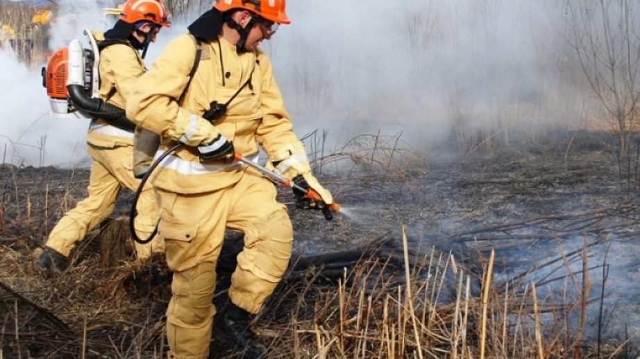Лесопожарная обстановка стабилизируется в Хабаровском крае