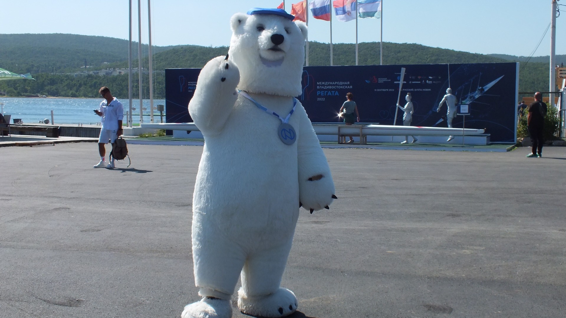 Медведица Айка стала символом международной регаты во Владивостоке