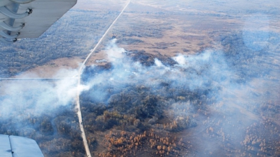 В Хабаровском крае задействовано 433 человека для борьбы с таежными пожарами
