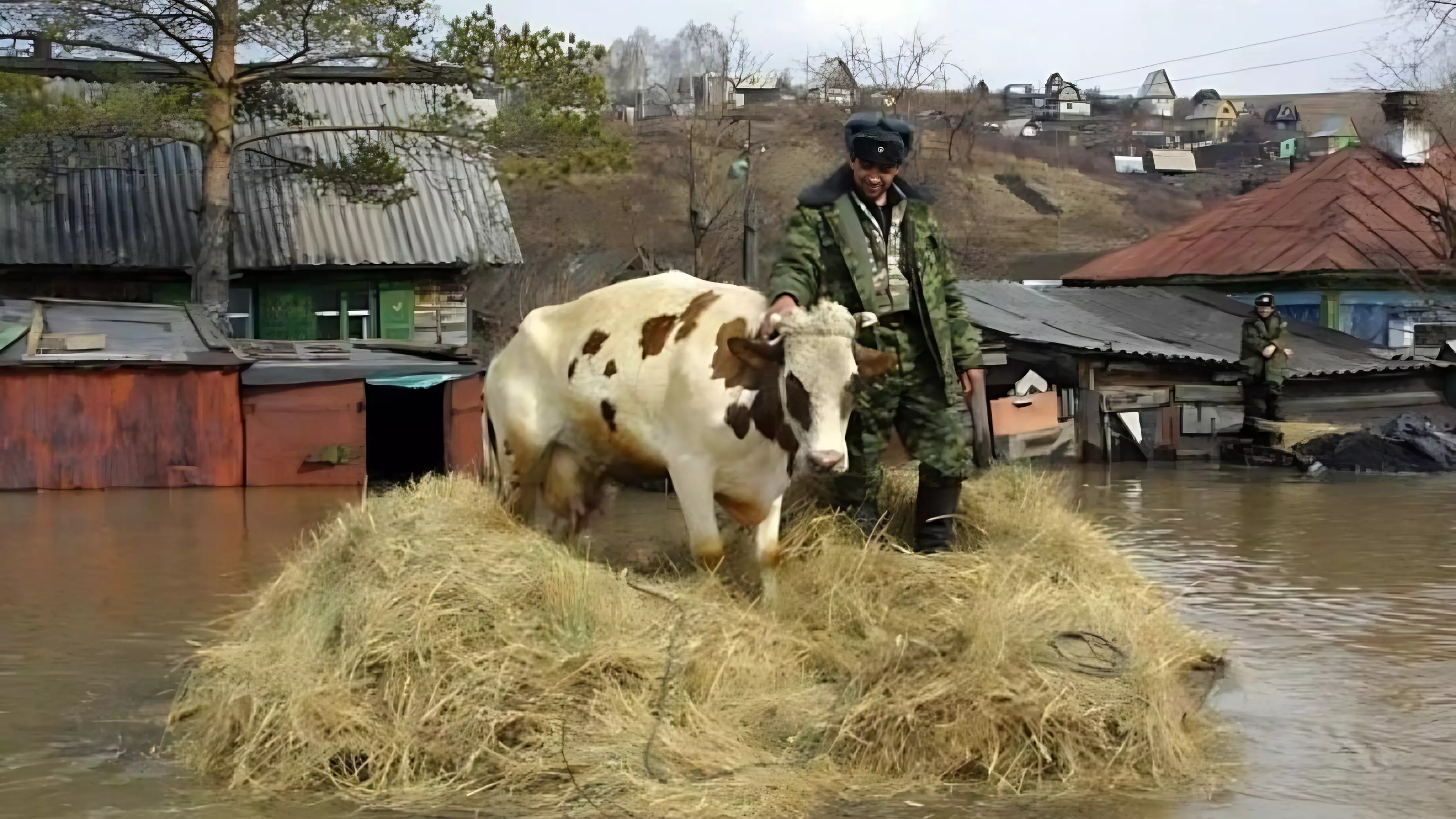 Как защитить сельскохозяйственных животных при наводнении в Хабаровском крае