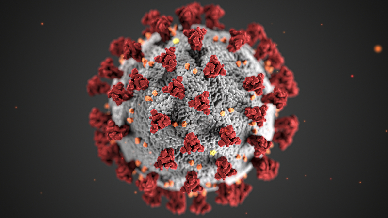 Как избежать принудительной вакцинации от коронавируса