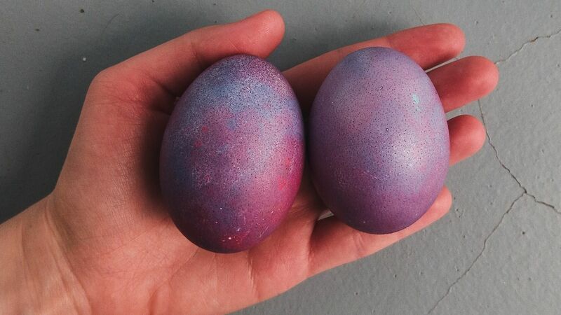 Опасные яйца обнаружены в Хабаровске