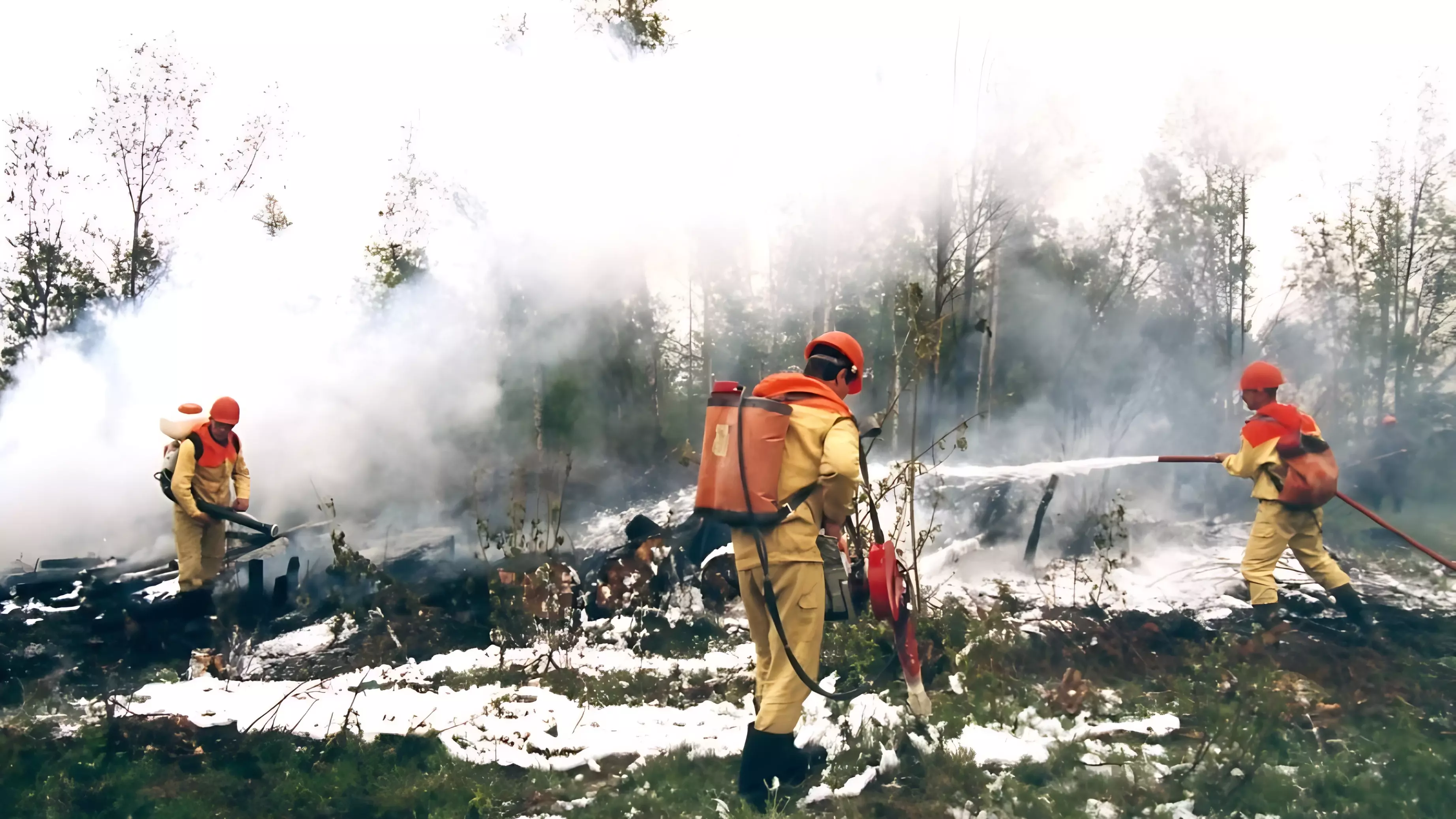 19 лесопожарных станций в Хабаровском крае находятся в готовности