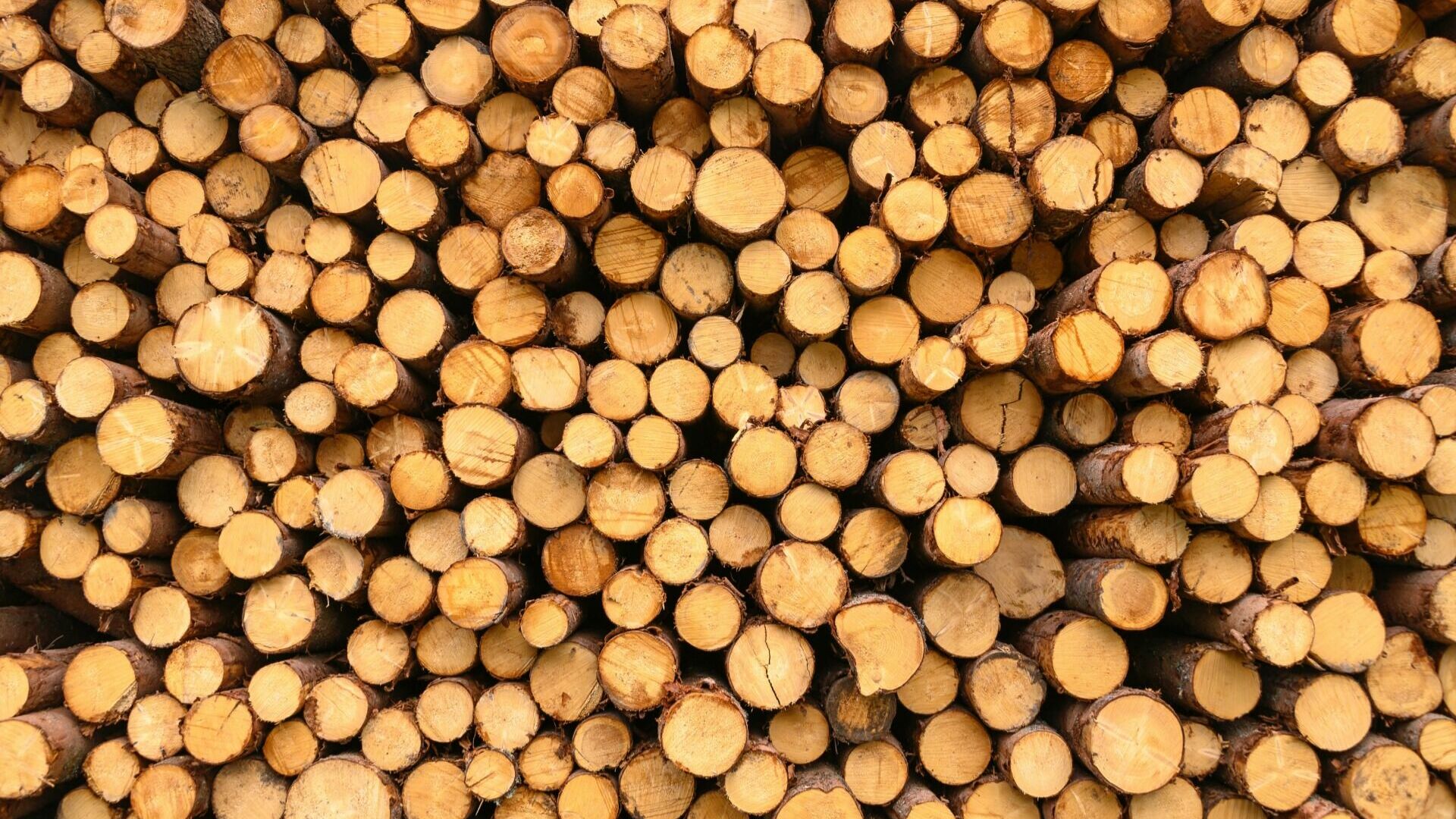 Более двух миллионов кубометров лесоматериалов проверено в Хабаровском крае
