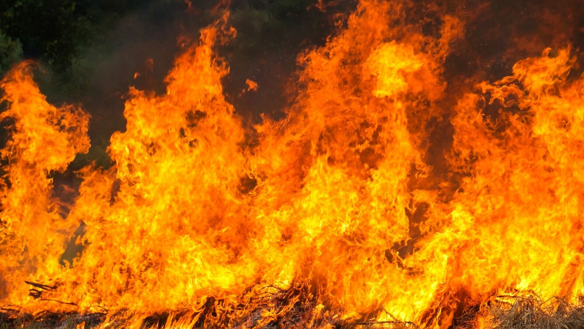 Итоги пожароопасного сезона подведены в Хабаровском крае