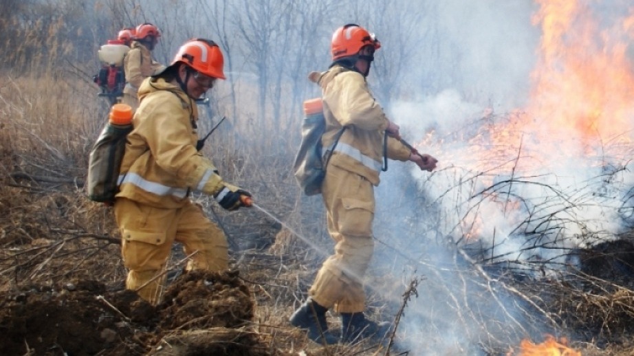 10 лесных пожаров ликвидировано в Хабаровском крае за выходные