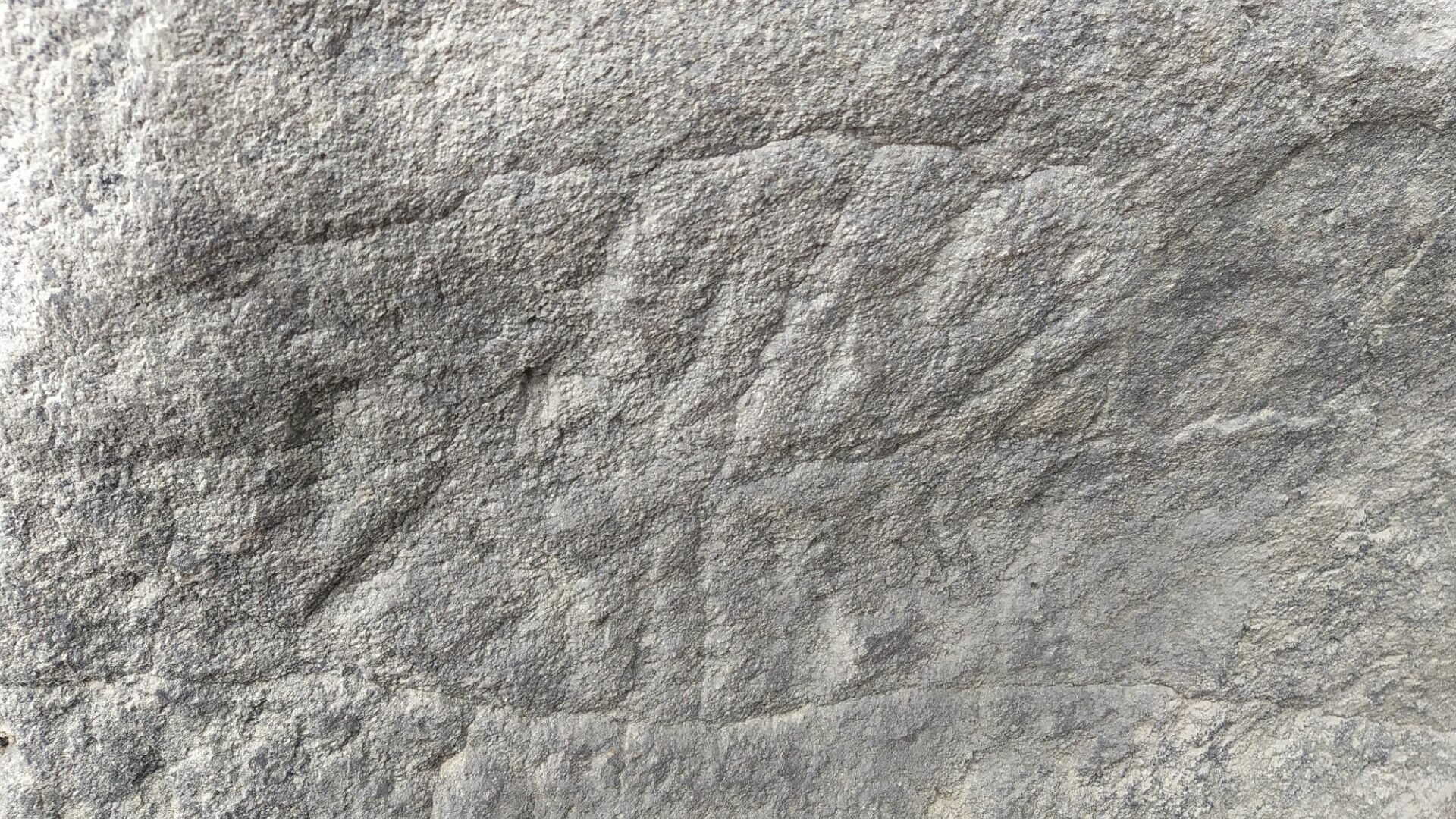 Петроглиф около села Сикачи-Алян. 12 тысячелетие до н.э.