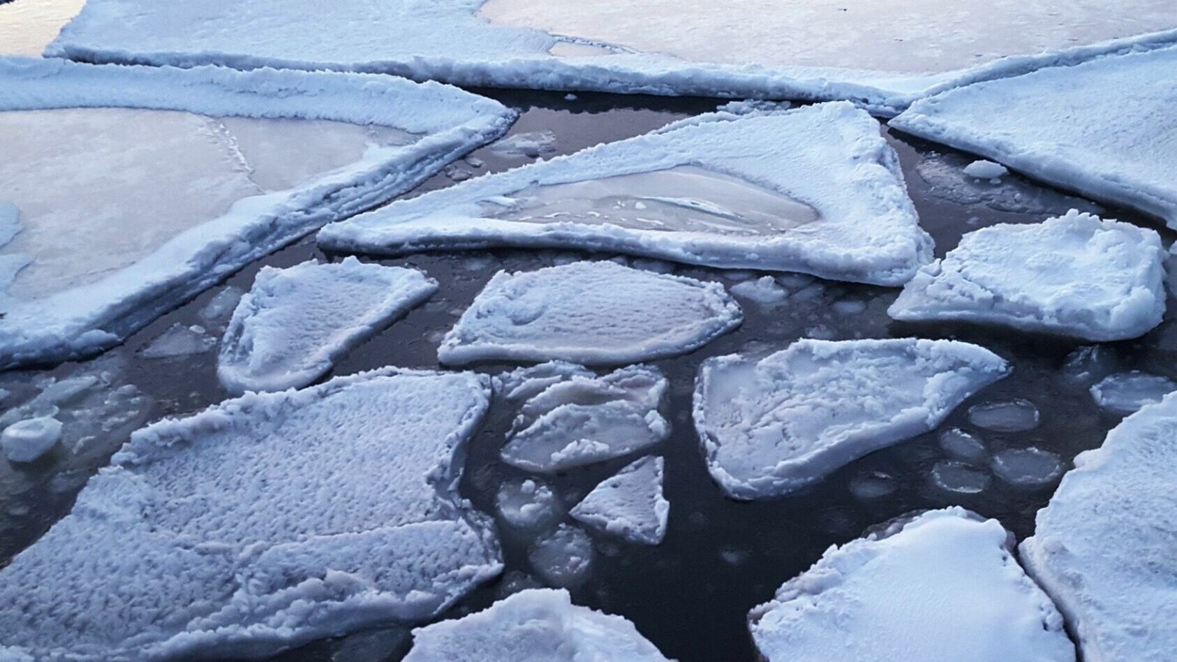 Нерпы устроили ледовые СПА-процедуры в Бурятии