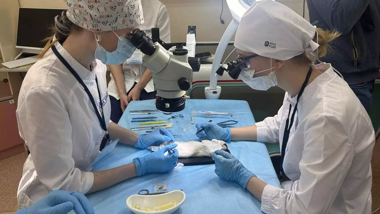 Олимпиада среди начинающих хирургов проходит в Хабаровске
