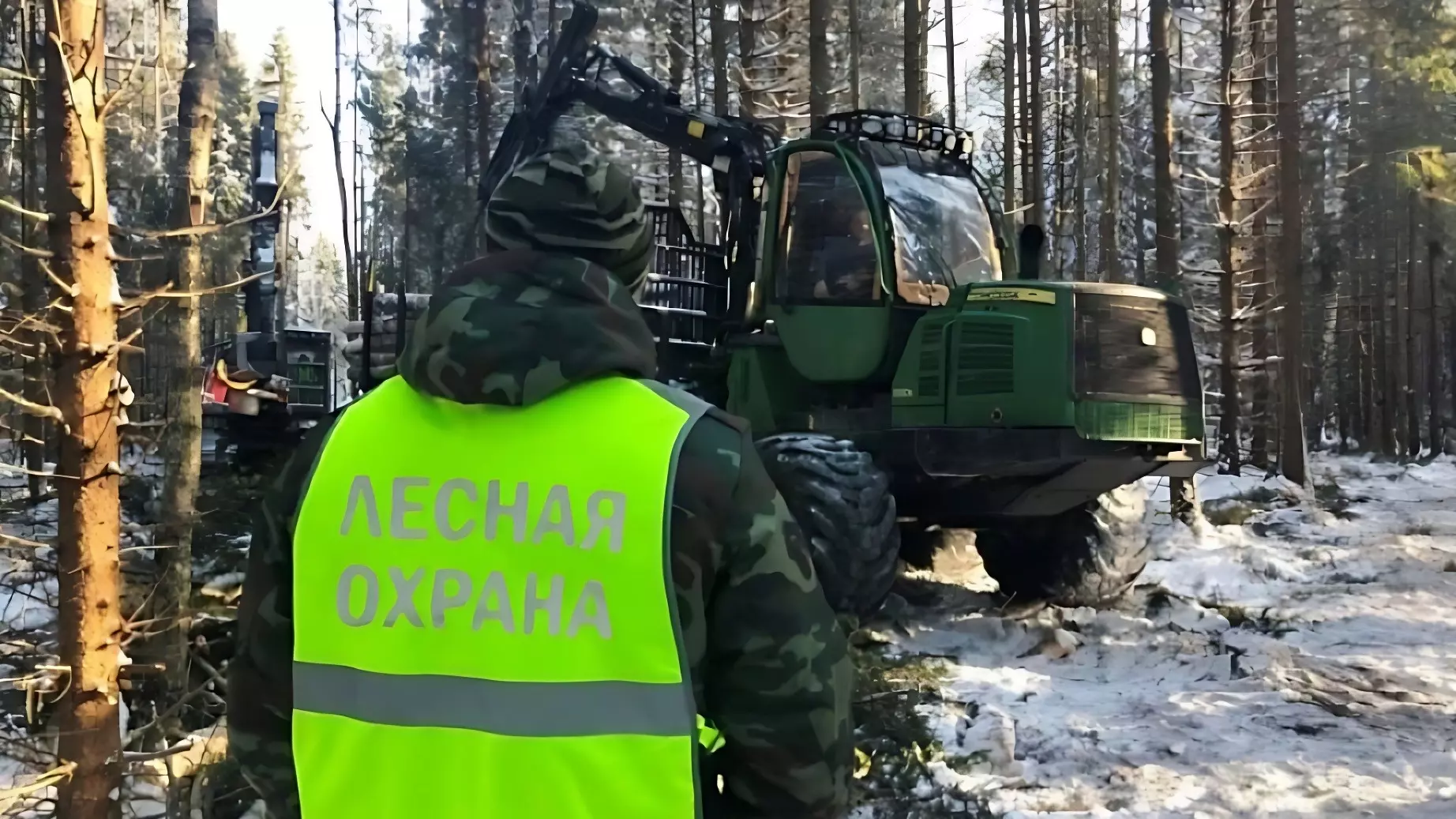 Итоги операций «Лес» и «Елочка» подвели в Хабаровском крае