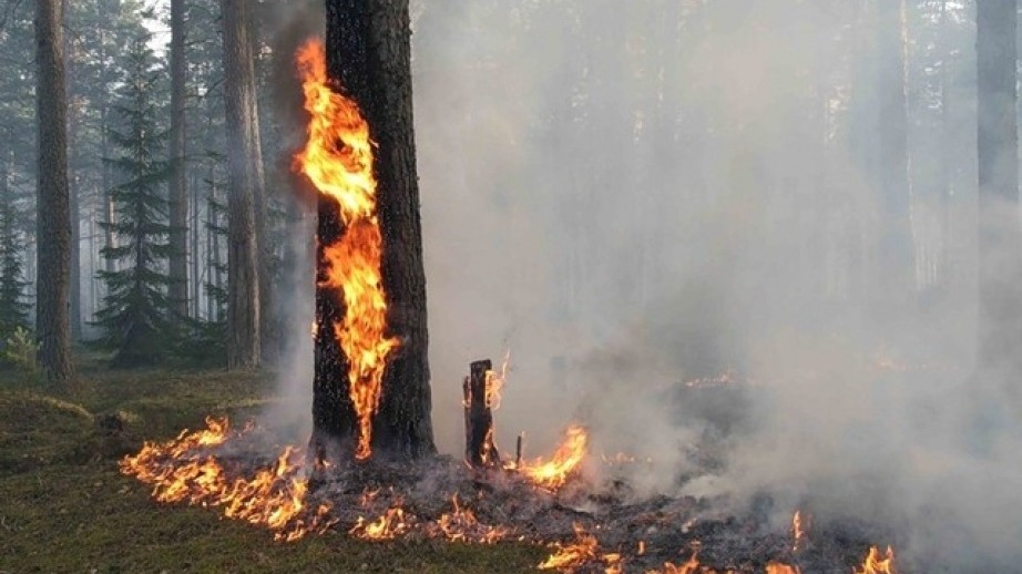 Высокий уровень пожарной опасности сохраняется в некоторых районах Хабаровского края