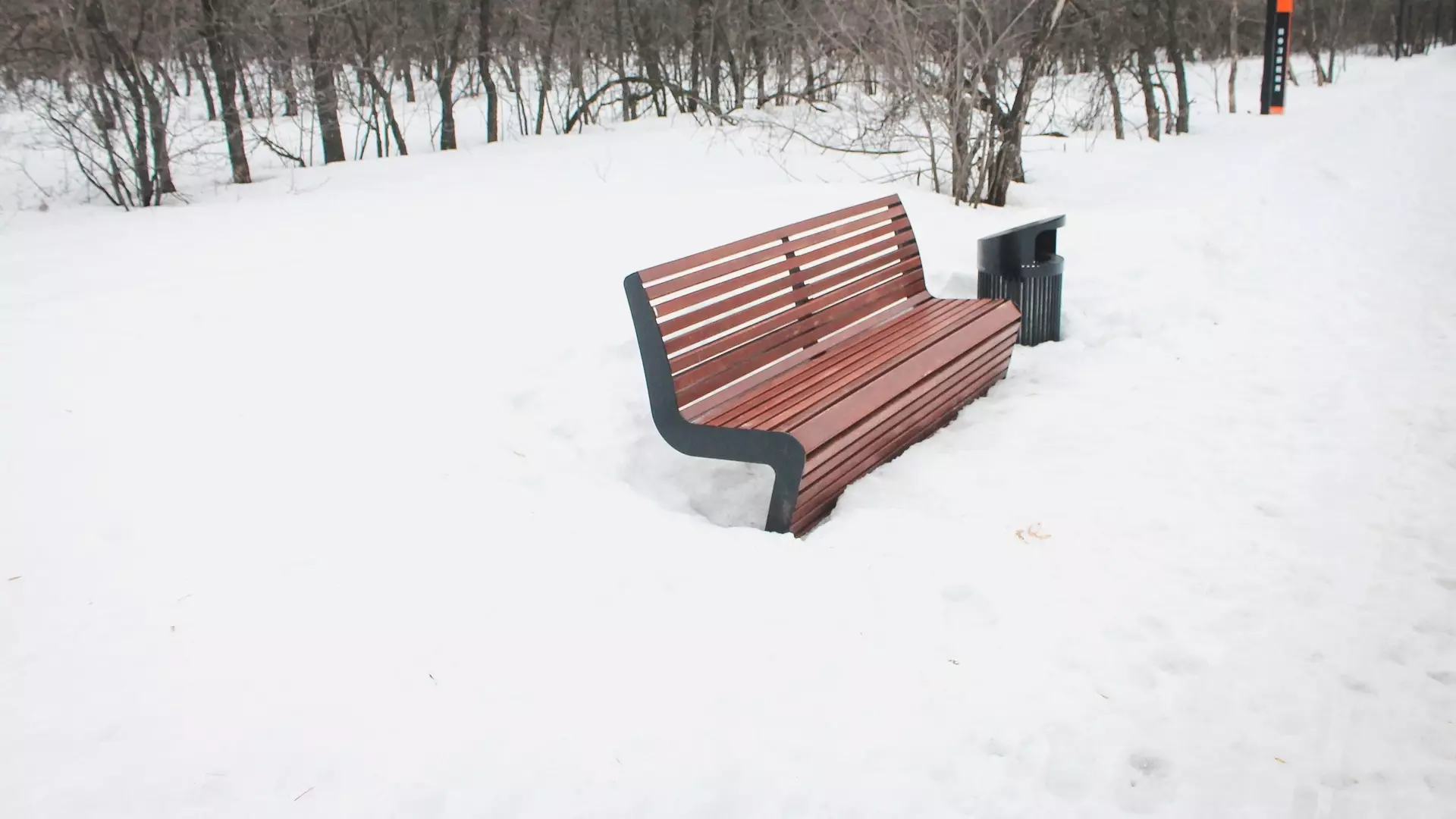 зима в Хабаровске