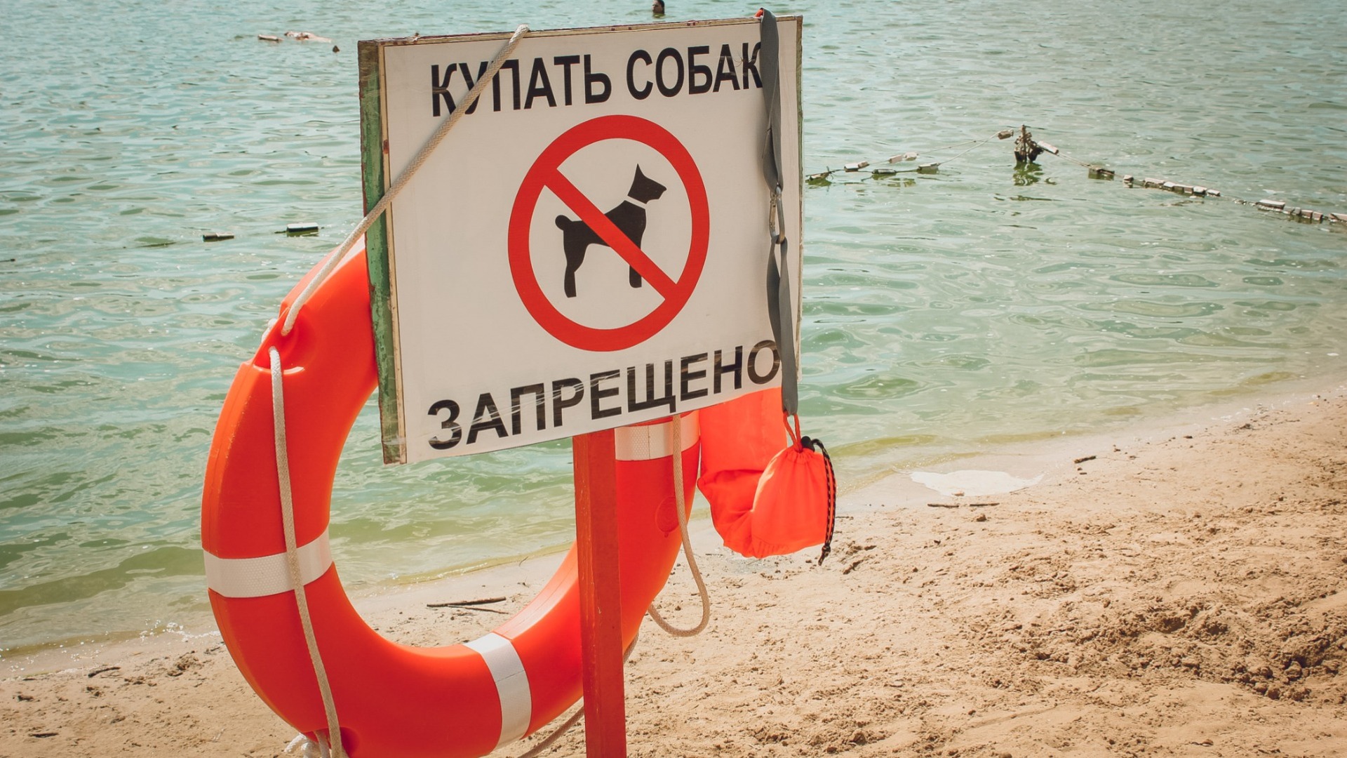 Родителями посетителей хабаровских пляжей заинтересовалась полиция в Хабаровске
