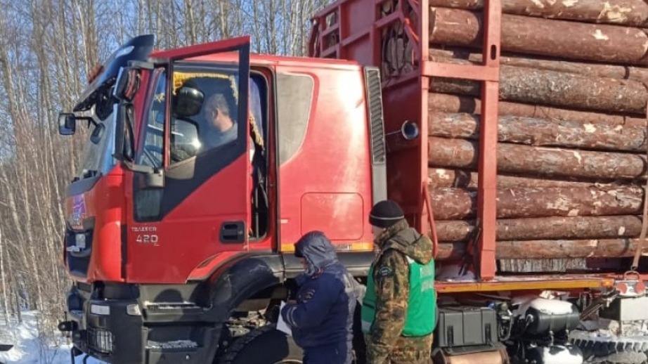 Объем незаконных рубок леса в Хабаровском крае сократился вдвое
