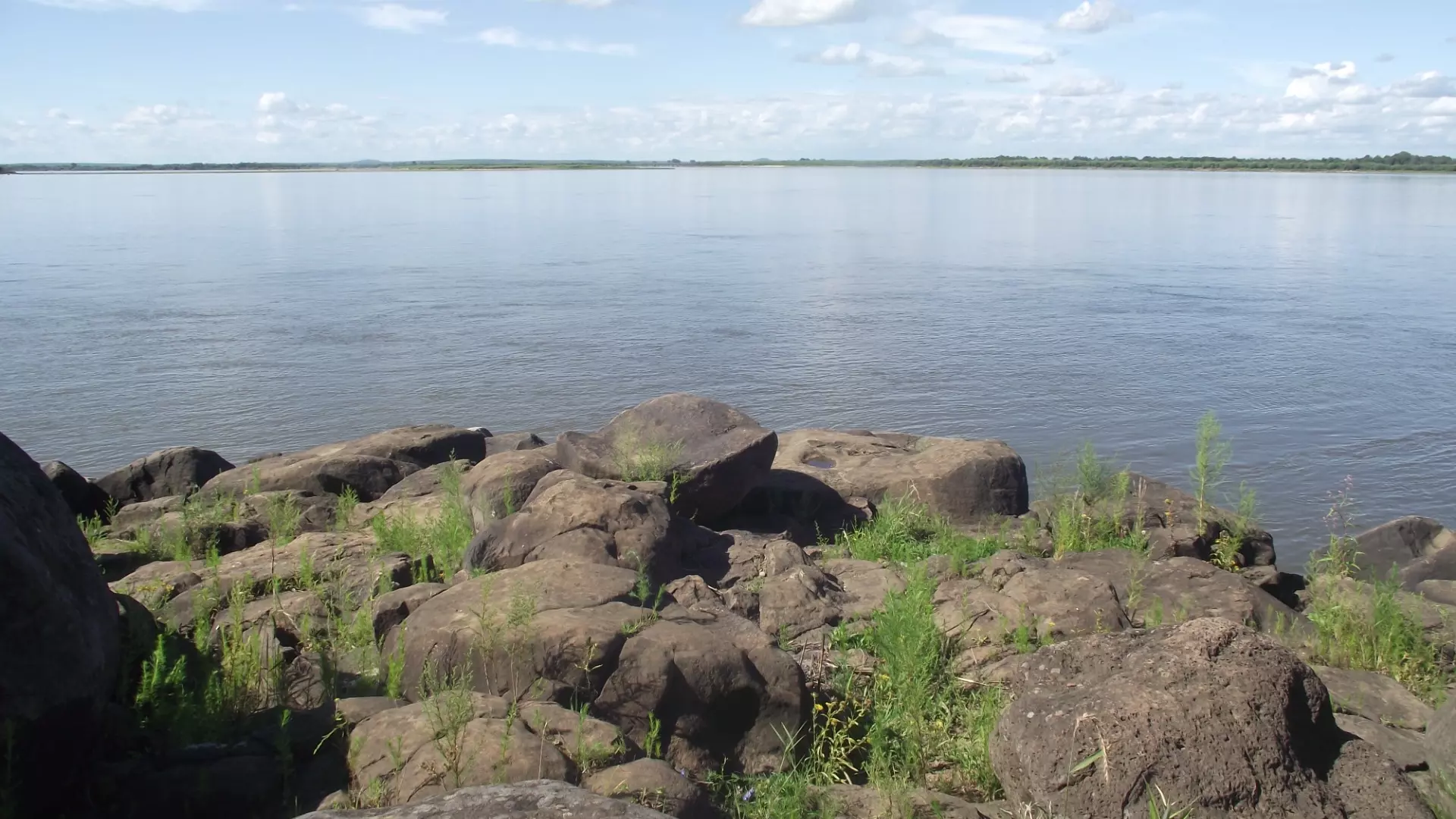 Дни защиты от экологической опасности стартуют в Хабаровском крае