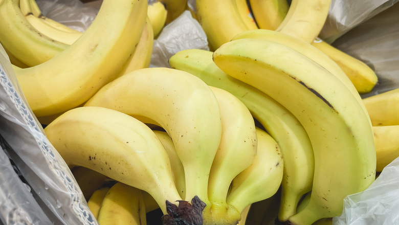 Бананы будут выращивать в Хабаровском крае