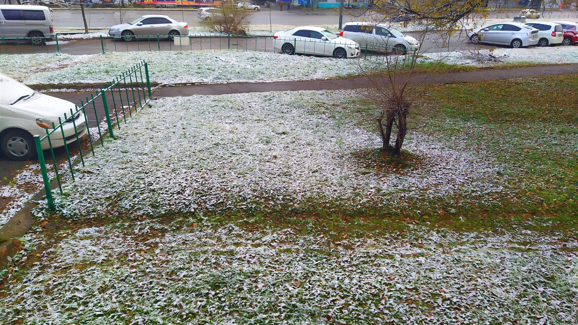 Хабаровске выпал снег. Первый снег. Выпал первый снег. Только что выпавший снег. Первый снег фото.